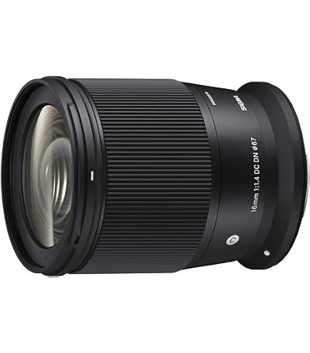 Buy Samyang AF 14mm F2.8 RF Auto Focus Lens for Canon RF-Mount