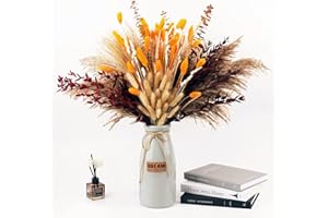 LZGS GO SWING BANDS Flores secas Decoracion Pampas Secas Decoracion Ramo Flores Secas Naturales DIY Ideal para Salón Boho Dormitorio Jarrones (LZGSGO-0110)