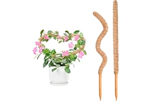 TRITMI Palo Cocco Piante Sostegno, Bastone per Piante 120cm, Monstera Piante Rampicanti Paletti, Bastoni per Piante Rampicanti, Bastone di Cocco Supporto Piante Rampicanti da Interni ed Esterni