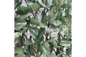 BPIL Expandable Artificial Maple Leaf Ivy Privacy Screen, 1x2m – UV Protected Garden Fence for Balcony, Terraces, Walls & Outdoor Privacy