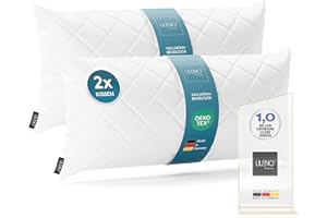 LILENO HOME Set of 2 Washable Microfibre Polyester Pillows, 40 x 80 cm, Minimalist Rectangular Throw Pillows for Sofa, Couch, Decorative, Sleeping, Allergy Sufferers