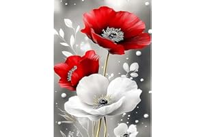 CEOVR Kit de peinture diamant 5D pour adultes, 30x40 cm (rouge, blanc, gris)