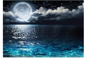 Runa Art Papier peint intissé Mural Pleine Lune Lac Moderne Toison Salon Chambre à Coucherr Salle - Tableaux Muraux Tapisserie Photo - noir Bleu 9489010a