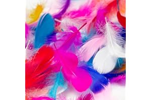 BELLALICHT Federn zum Basteln, 600 Stück Bunte Natürliche Federn Naturfedern für DIY Ohrring, Hochzeit, Traumfänger, Kopfschmucksfedern, Schulhandwerk, Weihnachten, Halloween