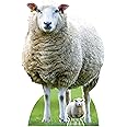 Star Cutouts SC4437 Sheep Farm Animal Cardboard Cut Out Height 94cm - Ideal for Animal Theme, Parties, Birthdays & Fans, Room Decorations & Events