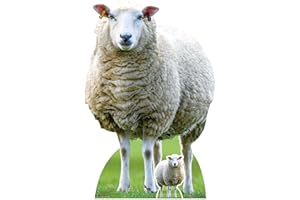 Star Cutouts SC4437 Sheep Farm Animal Cardboard Cut Out Height 94cm - Ideal for Animal Theme, Parties, Birthdays & Fans, Room Decorations & Events