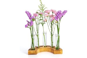 E-ROOM TREND Plant Propagation Station | Terrarium With Wood Stand | Hydroponics Home Office Garden Decor | Planter Lover Gifts (PTW500) | 5 Test Tube Glass Vases