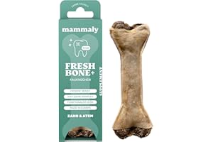 4-in-1 Zahnpflege-Kauknochen - Fresh Bone+ 1x Kauartikel (12cm) von mammaly - Kaustange aus Rinderhaut mit Salbei, Minze & Grüner Tee u.v.m. zur Mundhygiene - Kauspielzeug / -Knochen gegen Mundgeruch