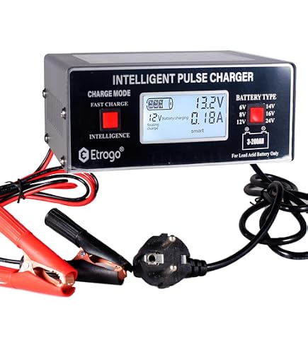 Riloer Caricabatteria Intelligente 6V/12V 1000mA – Manutentore Automatico Per Auto E Moto