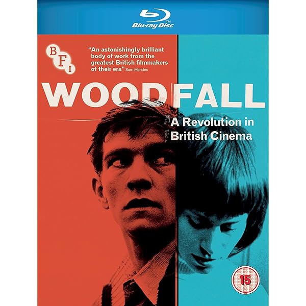 The Essential Dennis Potter [13 Disc Box Set] [Import