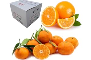 P.EMME Agrumi BoxMix Kg.9 di Agrumi: di cui CLEMENTINE e ARANCE di Corigliano-Rossano Calabria - Agrumi Mandarini Mandarancio Naveline Navel