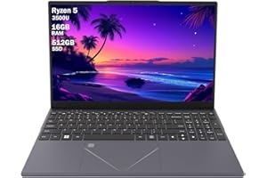 DREAMFYRE Versatile Laptop 15.6" Full HD 1080p Screen | Ryzen 5 3500U Processor 4-Cores | 16GB DDR4 RAM | 512GB SSD M.2 Storage | Office, Business, Gaming, Lightweight Notebook Computer for Travel & Study Work