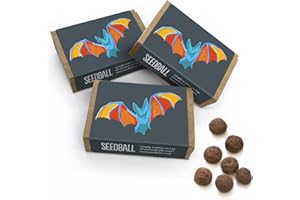 SEEDBALL Bat Mix Wildflower Seed Bombs (Pack of 3, 6 Balls Per Box) | Eco Friendly British Wild Flower Seeds Mix for Attracting Bats to Your Garden | Stocking Filler & Happy Halloween Gardening Gifts