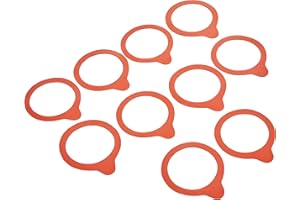Weck Anneaux DE CONSERVES 54x67 Lot de 10