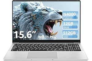 15.6 Pulgadas Ordenador Portatil, Win 11 PC Portátil Celeron N4000 CPU, Portátil con 12GB LPDDR4 512GB SSD, 1920*1080 IPS FHD Pantalla Laptop, TF Card Slot expansión hasta 1 TB, Mini HDMI+BT4.2