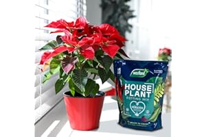 HAPPY PLANTING UK Poinsettia Plant - Indoor Christmas Plant, Real Live Plant, Real Festive Christmas House Plants Indoor Potted Plants (40-60cm) (+ House Plant Potting Mix)