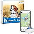 Tractive LTE GPS Dog Tracker - Location & Activity Tracker for Dogs with Unlimited Range (Newest Model), White (TRNJAWH)