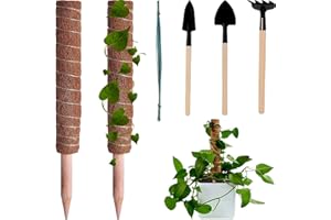 EOS FOSLAP 2 PCS 16 Inches / 40 Cm Coir Totem Moss Pole for Monstera and Cheese Plants - Coco Coir Sticks for Indoor Climbing Plants Support with 10 Cable Ties and Mini Gardening Tools Set (2 PCs - 40 CM)