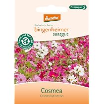 Ringelblume 1 x 1 Stck : Amazon.de: Lebensmittel & Getrnke