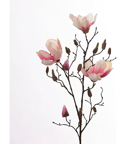 Amazon.de: Magnolienblten knstliche, knstliche Magnolienblten Magnolien  Knstliche Blten 3pcs 20,1 Zoll Bieger Faux Magnolia Stngel, realistische  Magnolienzweige fr hohe Vase, Zuhause, Bro, Tabelle 2