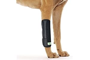 RockPet Órtesis Curadora Articulación Pata Delantera de Perro Envoltura Canina de Corvejón (L/XL)