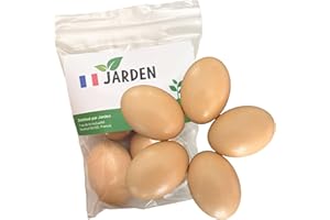 Jarden® Lot de 5 Oeufs de Poules Factices en Bois Réalistes - Faux Oeufs pour Poulailler, Pondoir et Abri de Poules Pondeuses - Accessoire pour Perchoir et Enclos Extérieur de Jardin