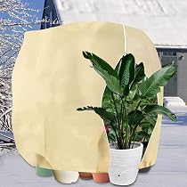 Voile D'hivernage 250x360 Cm Avec Fermeture éclair - Protection Plantes Contre Gel Et Froid, Réutilisable