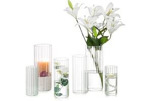 ‎HEWORY Hewory Vase Windlicht Glas Blumenvase: 6er Glasvase Zylinder Vasen Set für Schwimmkerzen, Gerippt Vase Glas Kerzenhalter Glaszylinder Mit Boden für Wohnzimmer Hochzeit Tischdeko