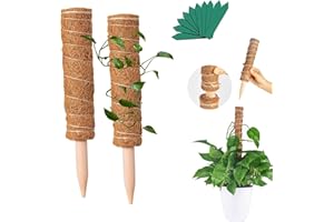 ABSOK Tótem De Fibra De Coco - 2 Piezas Palo de Tótem de Coco Palo de Musgo de Coco para Enredaderas Soporte de Plantas Extensión Escalada Plantas
