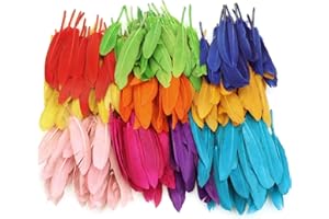 MWOOT 240 Pièces Plumes Colorées, Naturel Artisanat Plumes d'oie pour DIY Craft Boucles d'oreilles Artisanat Accueil Fête Mariage Baby Shower Décorations (4-6 Pouces)