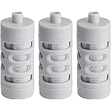 Amazon Basics - Filtro de repuesto para botella de agua con filtro, 3 unidades