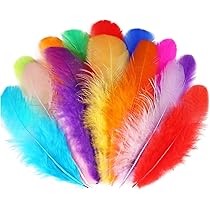 800 Bunte Federn Zum Basteln – 20 Regenbogenfarben, 7,6–12,7 Cm, Natürliche Federn, Für DIY, Dekoration & Kinder