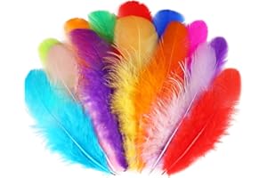 Soarer Lot de 300 plumes de coq colorées pour loisirs créatifs en vrac de 7,6 à 12,7 cm pour décoration de jardin d'enfants, mariage, maison, fête, attrape-rêves (colorées)