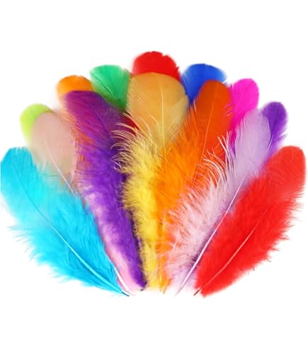 40pcs Natural Plumes Dinde Pour L'artisanat, Plumes Faisan Naturelles, Plumes Chapeau, 4 Styles Plumes Artisanales Mixtes, Plumes Tachetées Pour Arrangements Floraux, Bricolage Fournitures Artisanales