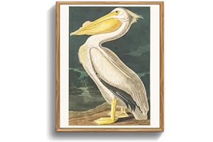 MHARTK66 Quadri Vintage Uccello Soggiorno con Cornice Legno, 30x40 cm Stampe da Parete Pellicano Bianco Animale Illustrazione, Quadro Camera da Letto Su Tela Decorazioni Parete Desktop Arte Bagno