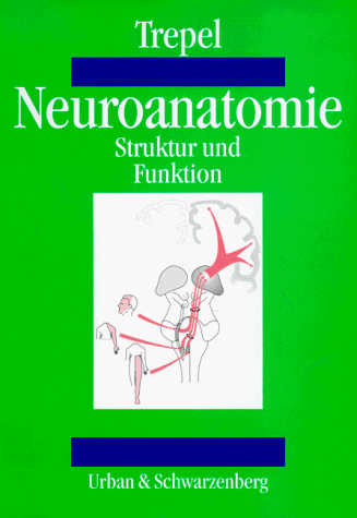 Preisvergleich Produktbild Neuroanatomie. Struktur und Funktion