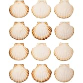 Finoly Large Natural Scallop Shells Pack 4/8/12/16 Units 10 x 11 cm for Kitchen Decoration | Scallop Shells Large Crafts DIY