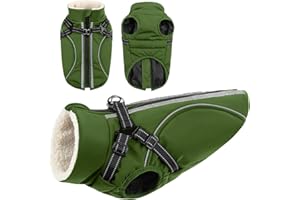 CITÉTOILE Cappotto Invernale per Cani Impermeabile - Giacca Termica Antivento con Foro Riflettente e Anello D, Adatto a Taglie Piccole/Medie/Grandi, Verde, L