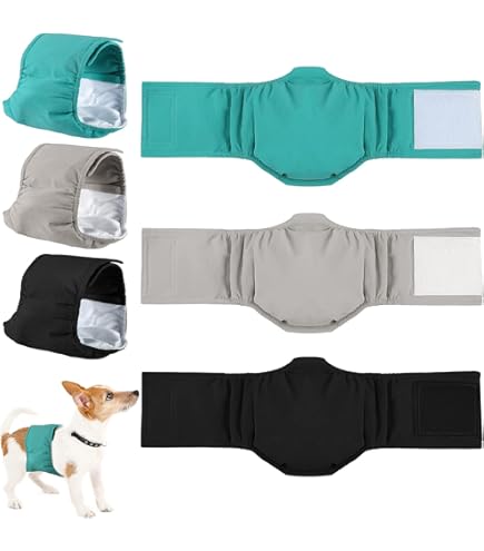 Pannolini Lavabili Per Cani Maschi SlowTon - Con Cuscinetti Assorbenti, Confezione Da 5, Taglie Varie - Foto 11