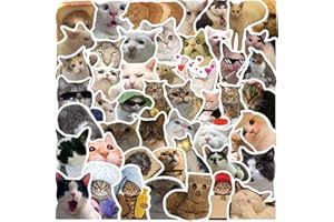 AFFOTO Cat Meme Aufkleber für Laptop(50 PCS),Geschenk für Kinder Jugendliche Erwachsene Jungen,Meme Stickers Wasserdicht Vinyl Aufkleber für Scrapbook,Skateboard,Auto,Gepäck