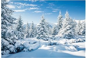 MIRRORANG 3x2m Hintergrund Outdoor Schnee Szene Kiefer Himmel Outdoor Party Frozen Poster Weihnachtshintergründe für Fotoshooting Silvester Party Decor Fotostudio Prop, Vinyl