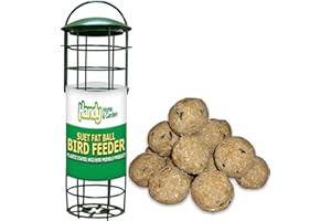 HANDY HOME & GARDEN 1 x Handy Home and Garden Standard Plastic Wild Bird Fat Ball Feeder con paquete de 10 bolas de grasa de sebo
