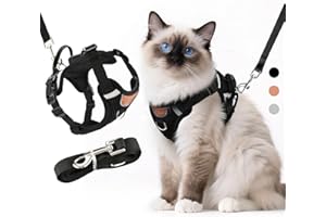 LUOJINYI Verstellbares Katzengeschirr mit Leine Ausbruchsicher, Katze Brustgeschirr mit Reflektierend Streifen & Atmungsaktiv Netzgewebe, Softgeschirr für Katzen Kätzchen Welpen(Schwarz, S)