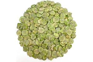 Bunny Bistro Flaked Peas 1kg | Natural Dried Pea Flakes for Guinea Pigs, Rabbit, Small Animal Treat, Healthy Forage for Small Pets
