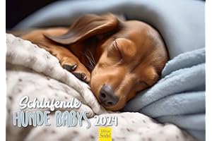 ‎EDITION SEIDEL Edition Seidel Premium Kalender Schlafende Hunde Babys 2024 Format DIN A3 Wandkalender Hundekalender Welpen Tier Kinder Hund Haustier