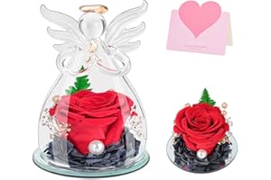 ANBET Mothers Day Eternal Rose in Glass Dome Christmas Angel Gifts for Women Forever Rose Red Real Flowers Preserved Rose Valentines Day Birthday for Her