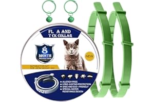 DOINEUFL 2 Pack Collar for Cats, Cat Collar to Prevent Infections, 15in Safe Waterproof Adjustable Cat Collars with Bell, Age over 7 Weeks, Contains Natural Essential Oils (Green)