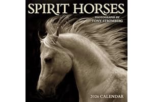 Spirit Horses 2026 Wall Calendar by Tony Stromberg
