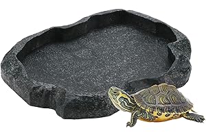 Yosoo Health Gear Ciotola per cibo con roccia, acqua e mangime, terrario, ciotole per rettili e anfibi, ciotola per acqua per tartarughe, mangime per rettili (verde scuro M.)