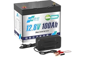HRBEENERGY 12V 100AH LiFePO4 Batería 1Pack,BMS de incorporado y celdas de grado A, batería recargable de fosfato de hierro y litio de 12V,4000-15000 ciclos profundos para solares, motores de arrastre